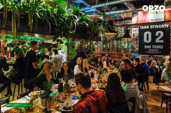 ORZO People-Music-Nature Koneser